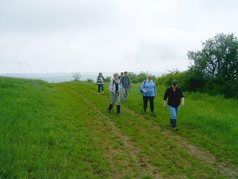 2010.05.08 (013).jpg